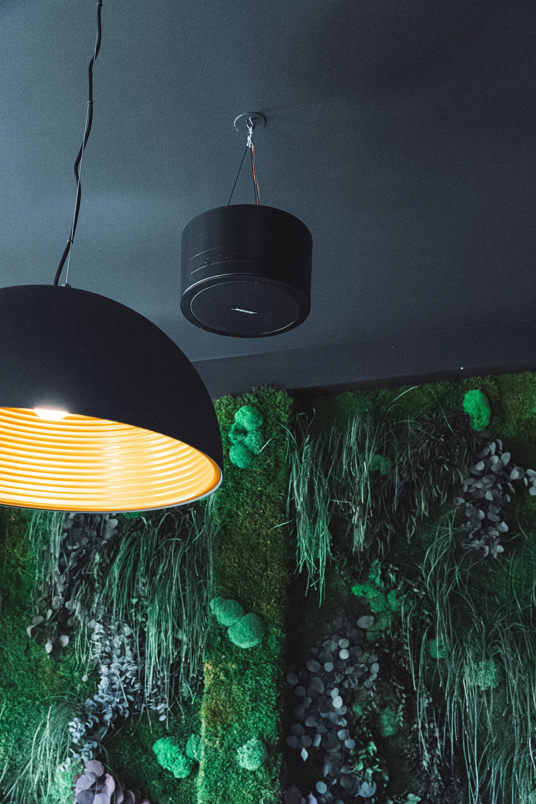 Restoran Degenija — Bose AV Integration Case Study — architectural detail