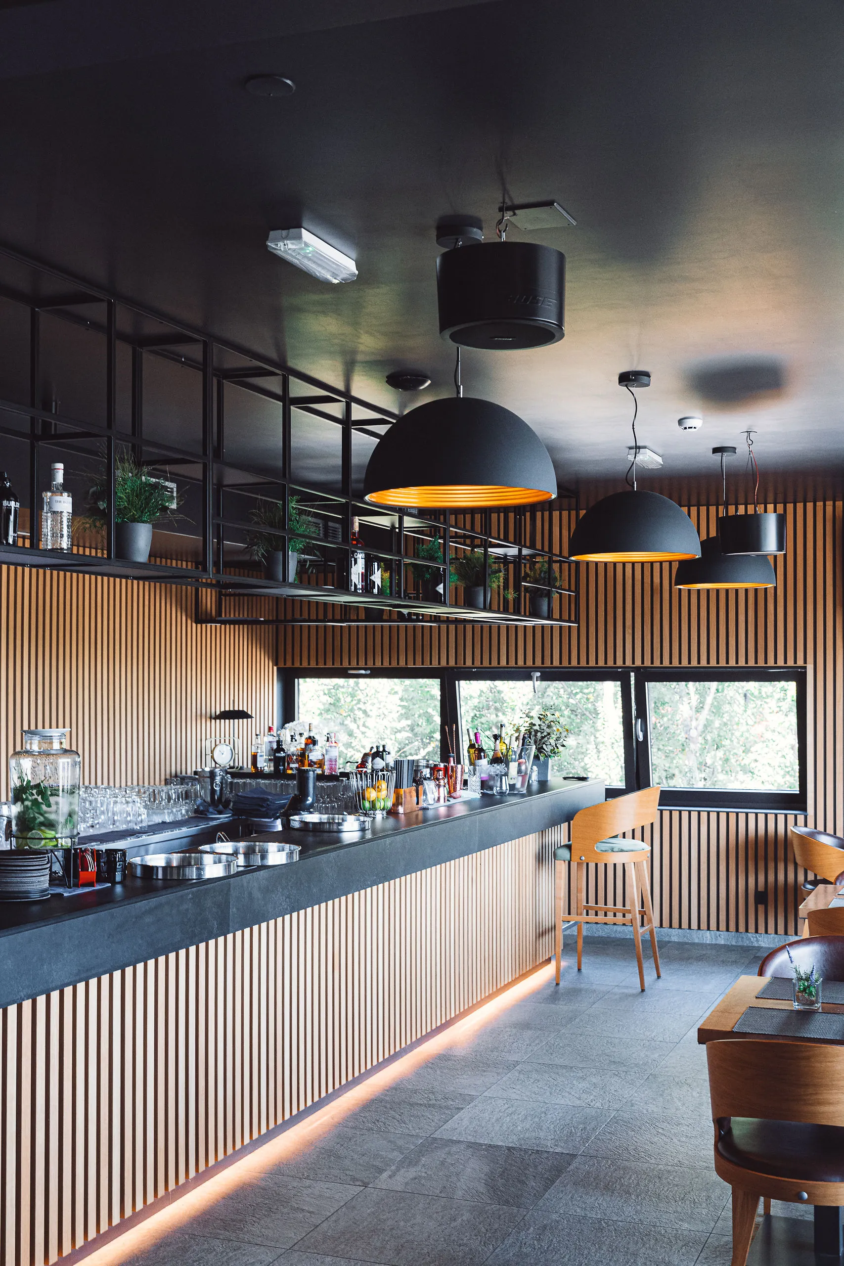 Restoran Degenija — Bose AV Integration Case Study — ceiling installation