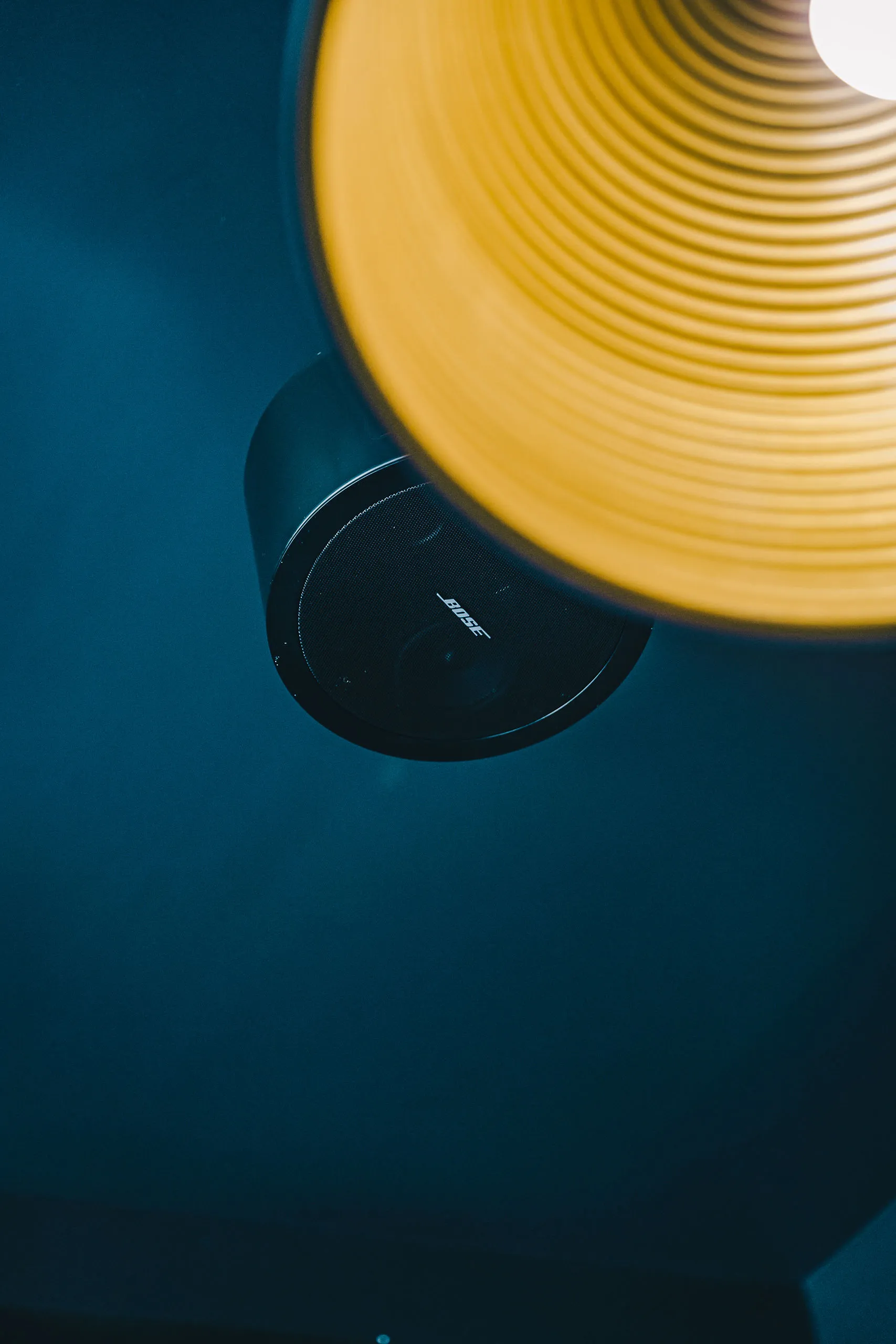 Restoran Degenija — Bose AV Integration Case Study — detail shot